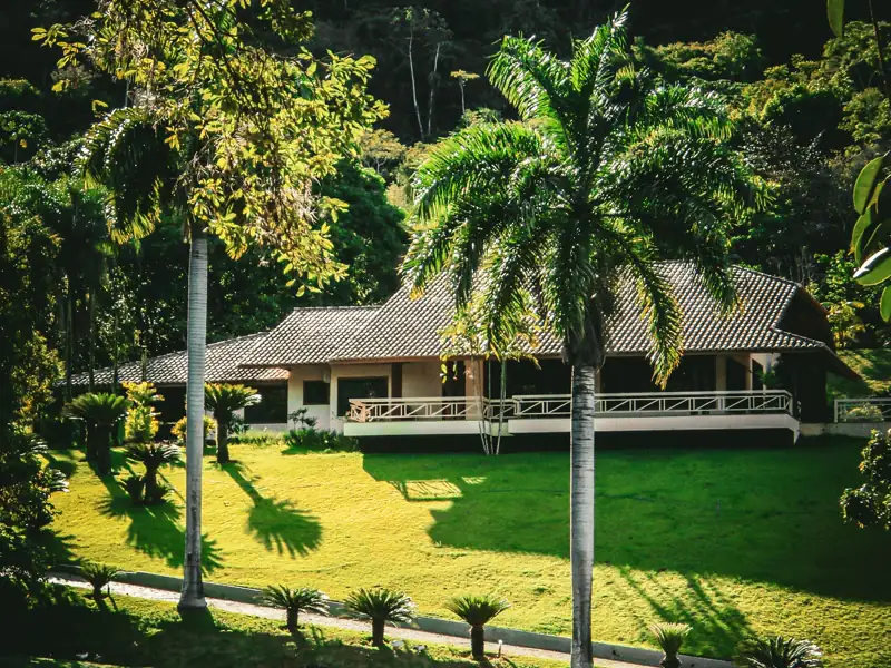 Heron Lake Cottage from across the pond, a long single-story house with a covered veranda, a green lawn and tall palms.